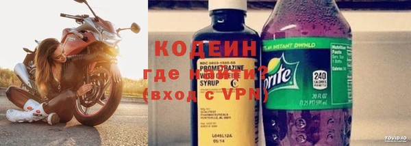 ПСИЛОЦИБИНОВЫЕ ГРИБЫ Горняк