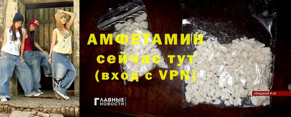 ПСИЛОЦИБИНОВЫЕ ГРИБЫ Горняк