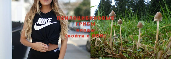 не бодяженный Вяземский