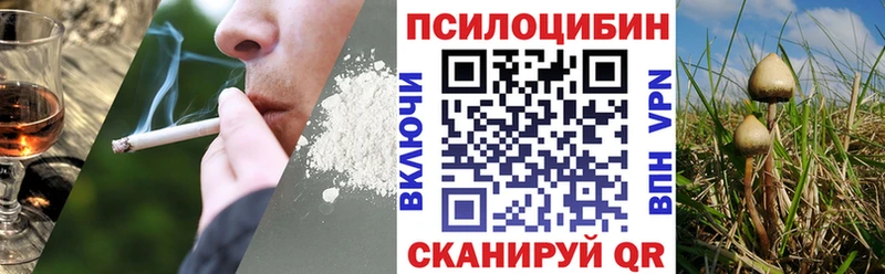 Галлюциногенные грибы прущие грибы дарнет шоп Заволжск